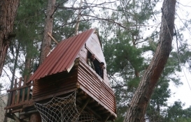 Manisalı üç arkadaş koronavirüsten korunmak için ağaç ev yaptı!