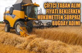 Türkiye'de buğday alım fiyatı beklenirken hükümetten son dakika sürpriz ihracat hamlesi! Düğmeye basıldı!