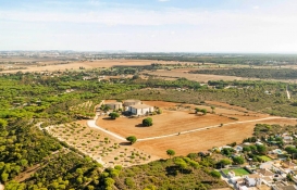 Milli Emlak, 10 adet arazi ve 3 adet arsayı 8 taksitle satıyor! 50 bin TL'ye arsa fırsatı!