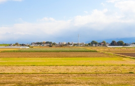 Marmaraereğlisi Belediyesi Tekirdağ'da arsa satacak!