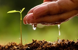 Gübre fiyatları yenilendi! İşte 02 Nisan 2023 fiyat listesi