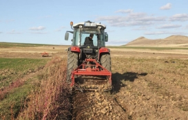  Marketlerde fiyatı uçuşa geçmişti! Son zamanların zam şampiyonundan güzel haber
