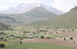 O ilde 126 bin TL'den başlayan fiyatlarla 13 arazi satılıyor!