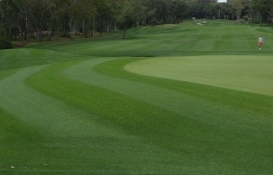 Silivri'de golf tesisi ve hizmet binaları 20 yıllığına kiraya veriliyor!