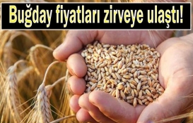 Rusya'ya yapılan yaptırımlar buğday fiyatlarına sıçradı! 