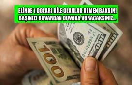 Elinde 1 doları bile olanlar hemen baksın! Doları olanlar kafasını duvardan duvara vuracak! Bunu alan yaşayacak