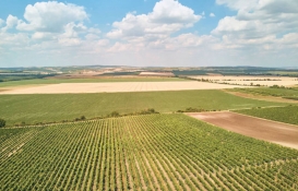 O ilde KDV'den muaf 19 arsa satılıyor! Arsa alacaklar dikkat!