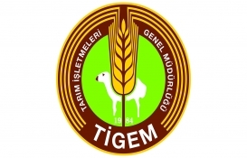 TİGEM, Arap Tayı Tanıtım ve Hippoterapi Merkezi'ni kiraya verecek!