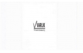 TF Varlık Kiralama'nın 200 milyon TL'lik tertip ihraç belgesi!