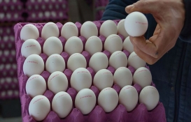 30'lu yumurtanın fiyatı birden 64 TL'ye düştü! Fiyatları görenin aklı başından uçtu! Son dakika!