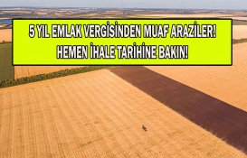 Milli Emlak'tan 8 taksit ve yüzde 20 indirimle arazi sahibi olma fırsatı! Bu tarihi sakın kaçırmayın! 