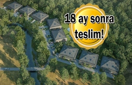 Kendo Orman'da lansman öncesi fırsatlar! Yeni proje!