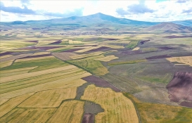 İzmir Bergama'da 7 adet arazi satılıyor! İhalesi 6 Aralık'ta!