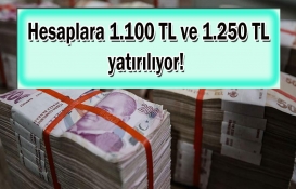 Aile Destek Programıyla hesaplara tek tek 1.100 ve 1.250 lira yatırılıyor! Mart 2023 paralarını mutlaka alın!