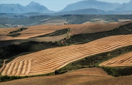 Belediye o ilçede konut imarlı arsa satacak! Yatırımcılar dikkat!