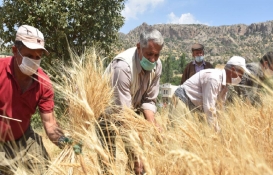  Çiftçiler dikkat, toprağa eken kazanıyor! 229 milyon dolardan 306 milyon dolar getirdi