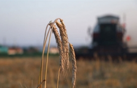 Çiftçilere ve tarımsal işletmelere müjde! Bu yıl 600 TL destek verilecek! Hemen başvurun! 