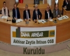 İlk zeytin ihtisas OSB'si Akhisar'da kuruldu!
