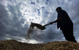 Bakan Yumaklı açıkladı! Çiftçiye 445 milyon lira tarımsal destekleme ödemesi yapılacak...