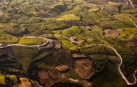 Milli Emlak, Balıkesir ve Düzce'deki 3 adet araziyi yüzde 20 indirimle satıyor! 