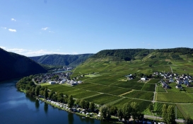 Milli Emlak 35 adet arsa ve araziyi 8 taksitle satıyor! 5 bin 500 TL'den başlayan fiyatlarla!