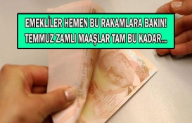 Emeklilere Temmuz'da ne kadar zam gelecek? 8 bin, 9 bin, 10 bin TL maaş alanlar dikkat! Zamlı maaşlar tek tek hesaplandı