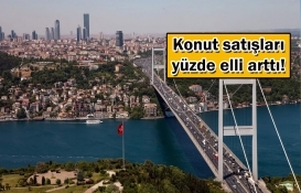 Türkiye konut satışları ocak 2020
