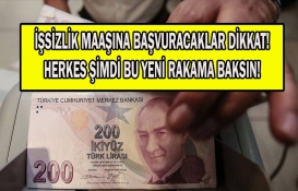 İşsizlik maaşına başvuracaklar dikkat! Tam bu kadar oldu! Hemen işsizlik ödeneğine bakın! 