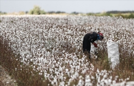Çiftçilere kara haber! Açıklanan fiyat hayal kırıklığı yarattı!
