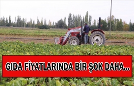 Rusya-Ukrayna krizi gübreyi de vuracak!