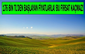 Hükümet düğmeye bastı, geri sayım başladı! 32 ilde 24 ay taksitle 385 Hazine arazisi satışa çıktı! 