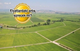 Arsa fiyatları yüzde 21, arazi fiyatları yüzde 25 arttı!