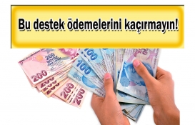Aile Bakanlığı peş peşe duyurdu! Tam tamına 40 farklı destek ödemesinden birini de siz alabilirsiniz! Kaçırmayın!