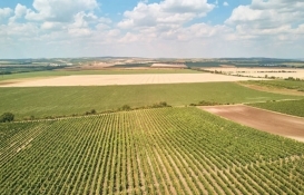 İzmir Buca'da 9.2 milyon TL'ye icradan satılık arsa!