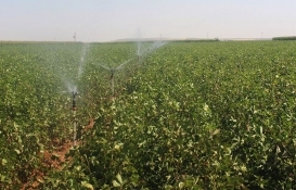 Tarım ve sulamaya 57,5 milyar lira kaynak sağlandı!