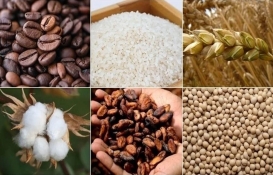 Altın, gümüş, petrol, buğday, mısırda son dakika! Emtia piyasasında dalga boyu yükseldi! Değerli metaller yükseldi mi? 