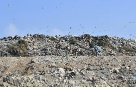 Çöp dönüşüm firmaları arazileri kiralayıp kaçtı! 