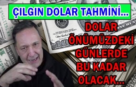 Ekonomist Selçuk Geçer çılgın dolar tahminini açıkladı! Doları tutana aşk olsun! Dolar bu kadar olacak