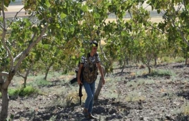 Kilosu 170 TL oldu! Kimsenin gözüne uyku girmiyor