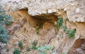 700 yıllık Ceneviz surları restore edilmeyi bekliyor!