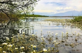 Sulak alanlarda yapılaşmanın önü açıldı!