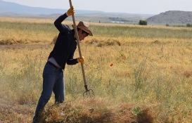 Çiftçiler hemen bakın! Ziraat Katılım Bankası duyurdu: Çiftçilere düşük kar payı oranlı 'tarım finansmanı' verilecek!