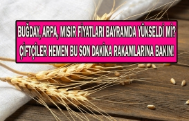 Çiftçiler hemen bu rakamlara bakın! Buğday, arpa, mısırda Nisan şoku! Peş peşe açıklandı! 