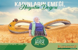 Tarım Kredi Kooperatif Marketleri Mart 2022 İndirimli Fiyat Listesi…