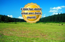 Orman sınırları dışına çıkarılan alanlar satılacak!