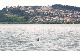 Sapanca satılık arsa