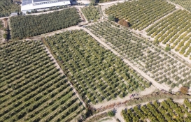 Arsa almak isteyenler dikkat! Milli Emlak'tan 112 bin 450 liraya konut alanı imarlı arsa fırsatı!