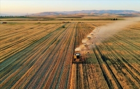 Batman Beşiri'de 11.2 milyon TL'ye icradan satılık fabrika ve arsası!