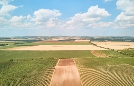 Şirket arazilerinde hissedarların payları küçültülebilir mi?