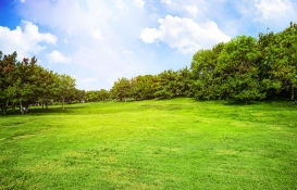 Sakarya'da 7 adet gayrimenkul satılıyor! Arsa ve arazi alacaklar dikkat! 